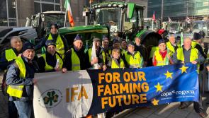 Farm scheme payments to Laois reach nearly &euro;40 m