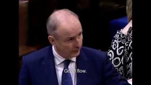 WATCH: Laois TD calls for 24 hour Garda Station in Portarlington