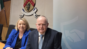 Laois TD says his government made 'a bad mistake' and should reconsider replacement of policing committees 