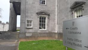 Portarlington resident accused of multiple offences in Offaly village