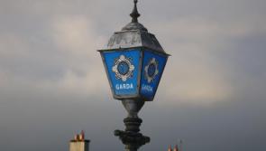 RIP: Garda&iacute; appeal for information after driver flees scene of fatal late-night collision