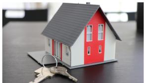 Laois councillor pushes back against party to oppose Government's rental reforms