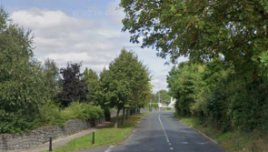 Laois County Council to begin removing trees along road amid safety concerns