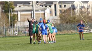 First defeat of Division 2 campaign for Laois Camogie as Meath show their class