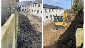 Portlaoise residents 'petrified' as abandoned gap between estates infested by rats
