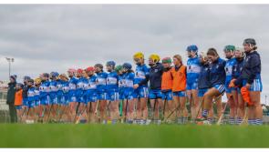 PREVIEW: Busy Saturday with Laois Camogie, minor hurlers and LGFA minor footballers all in action