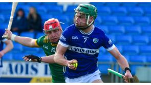 13 changes for the Laois senior hurlers as Tommy Fitzgerald names team for trip to London