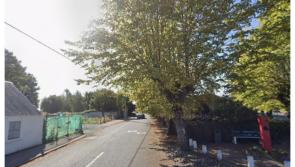 Uncut trees causing problems for road users in Laois village