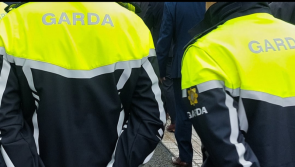 Garda&iacute; appeal for witnesses following incident at Laois pharmacy