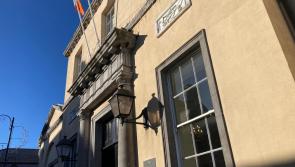 Man had &lsquo;large rounded stick&rsquo; up his sleeve in Portlaoise