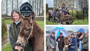 PICTURES: Special guest joins Laois parishioners on Palm Sunday