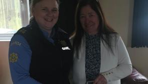 Laois Offaly Garda&iacute; recover stolen case