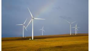 'We can't depend on Trump and the boys' - Laois TD pushes for energy self-sufficiency