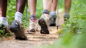 Popular Laois walking trail to close for essential maintenance works
