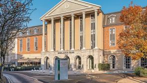 Laois Shines Expo coming to Portlaoise 
