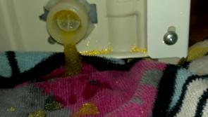 Portlaoise family in fear for their health as mysterious substance contaminates their water