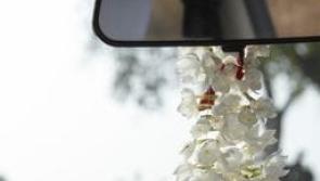 Car garland could  attract €2000 fine Gardaí warn