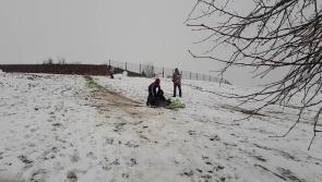 #SNOW The Kilminchy Boys hit the slopes of Portlaoise in Laois #watch