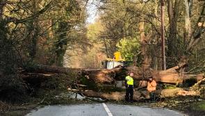 Laois in Met Éireann Storm Debi Status Red warning zone