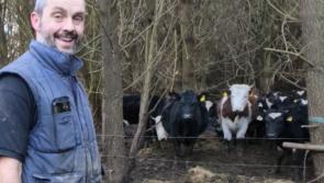 Farming for the future on the Heritage Week menu