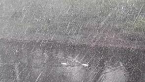 #WATCH Snow in Ireland - not your typical Easter Monday weather #sneachta
