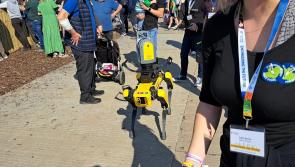 WATCH: Robotic dog  trots around the Ploughing in Laois
