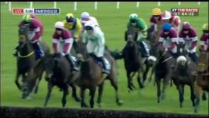 Grand National Champ Our Duke comes home a hero to Coolrain in Laois