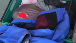 WATCH: Electric Picnic Lost and Found reopening