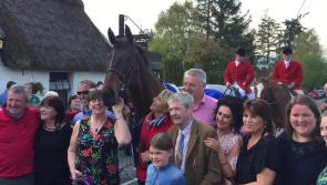 VIDEO: Our Duke is the star attraction in Coolrain