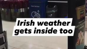 WATCH: Water rains down inside Tesco Portlaoise