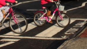 New pedestrian crossing for busy Laois village 'fantastic' for children