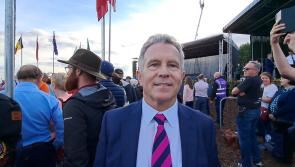Watch: Laois Offaly Minister says Electric Picnic and Ploughing shows Laois is one of the best counties for fun