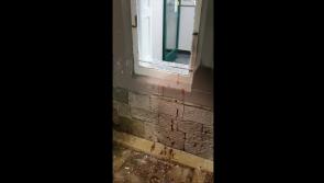 WATCH: Blood splattered Laois train station smashed up 