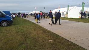 #WATCH: Crowds arrive early for National Ploughing Championships in Tullamore