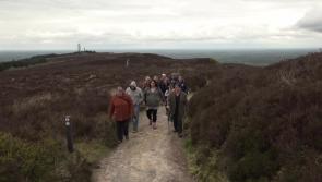 WATCH - 'Amazing' Mick Dowling's walking tour in the Slieve Blooms