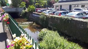 WATCH: Portlaoise Tidy Towns turn to the River Triogue to send a message