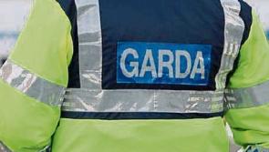 More garda checkpoints mean drink driving drops claims Laois councillor