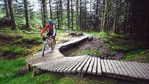 Hot summer punctures progress Laois mountain bike trail