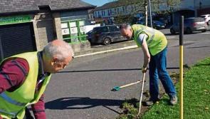 Laois Offaly TD urges swift resolution of any employment scheme supervisor pay deal