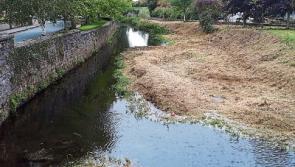 Residents of Laois town fear repeat flood from silt filled river