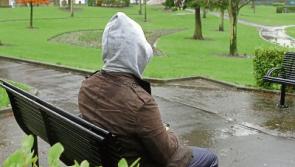 Homeless Laois people are sleeping in parks reports local charity