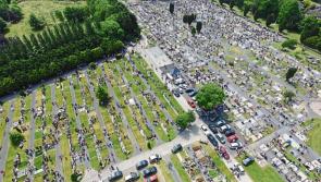 Wooden fence at Portlaoise cemetery not ‘common sense’