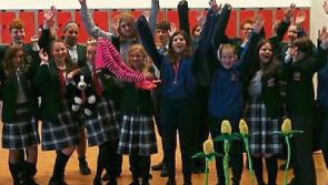 Portlaoise College present a perennial festive favour with 'The Wizard of Oz'