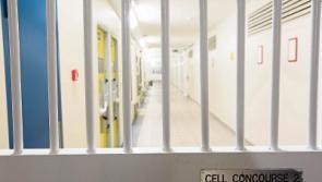 TDs challenge prison service on prisoner phone use and cash spent on catering