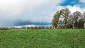 Concerns over trespassers with lurcher dogs on Laois farms