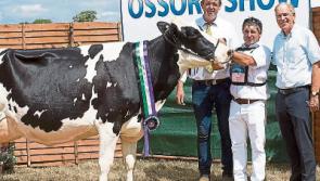 Celebrating 121 years of the Ossory Agricultural Show in Laois
