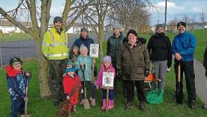Kilminchy estate in Portlaoise goes green with hundreds of trees