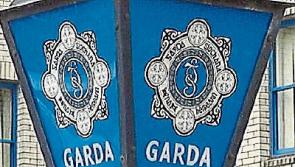 Two racehorses killed in Tipperary road traffic accident