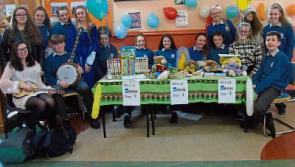 World Book Day enjoyed in Mountmellick school
