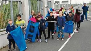 Next generation of Laois schoolchildren do their bit to save the planet